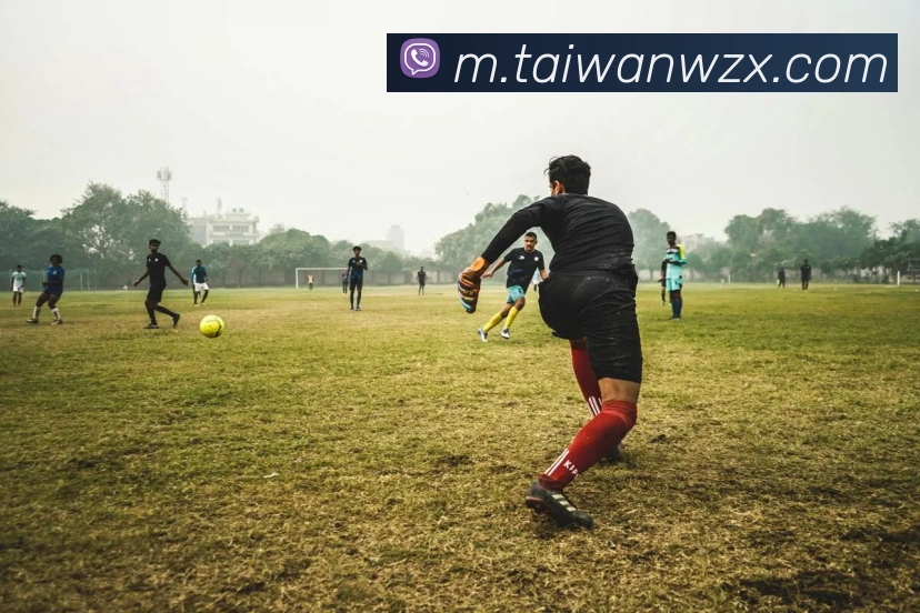 9游官网入口平台生态图